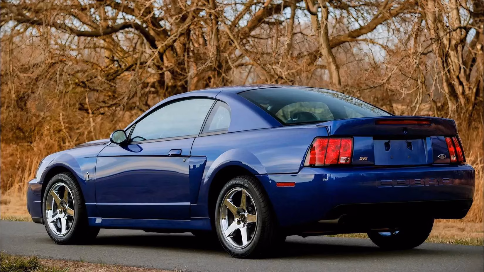 the-2003-04-ford-mustang-svt-cobra-terminator-is-the-analog-hero-collectors-are-finally-waking-up-to-image-8
