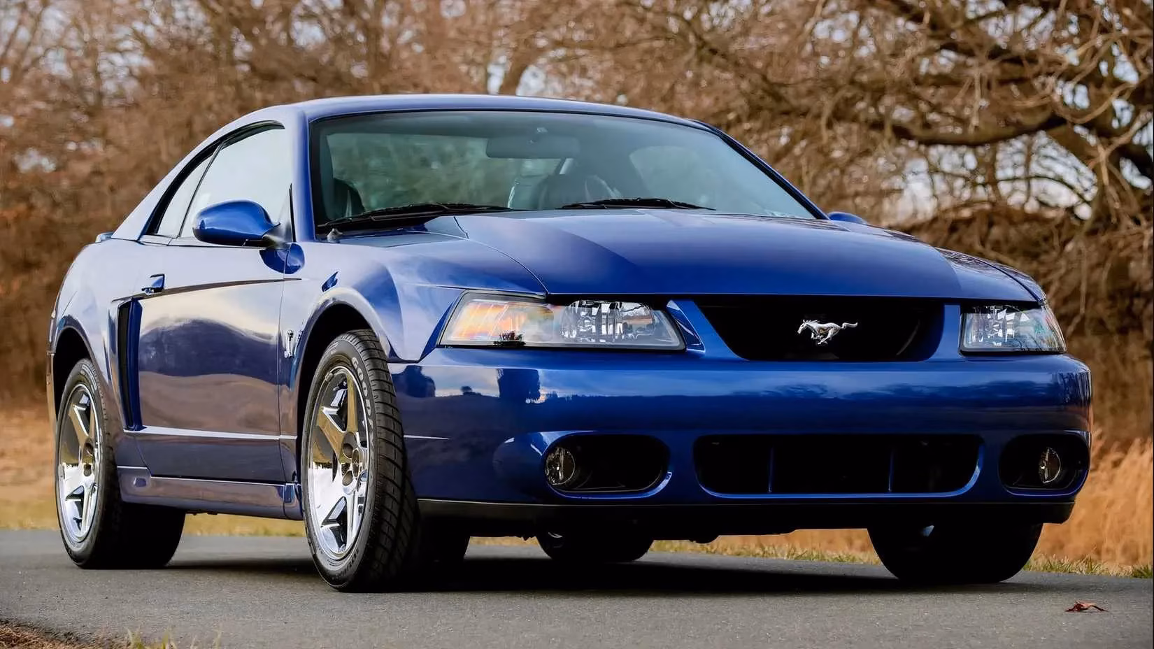the-2003-04-ford-mustang-svt-cobra-terminator-is-the-analog-hero-collectors-are-finally-waking-up-to-image-1