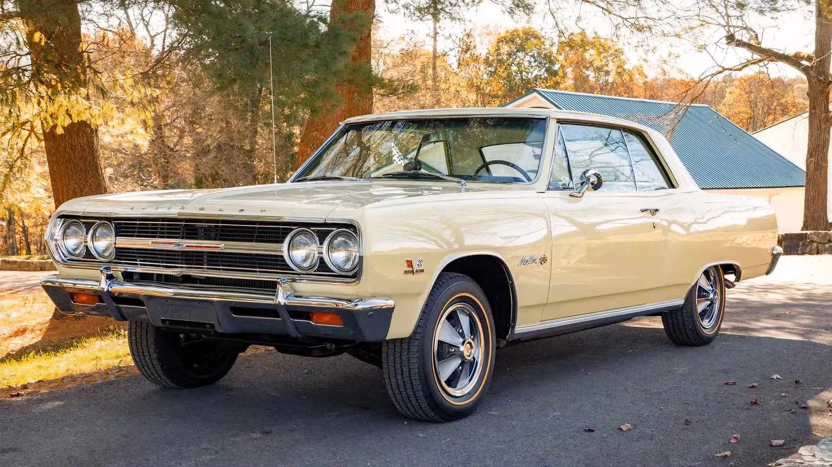 forgotten-factory-freaks-the-secret-muscle-cars-of-the-60s-and-70s-image-6