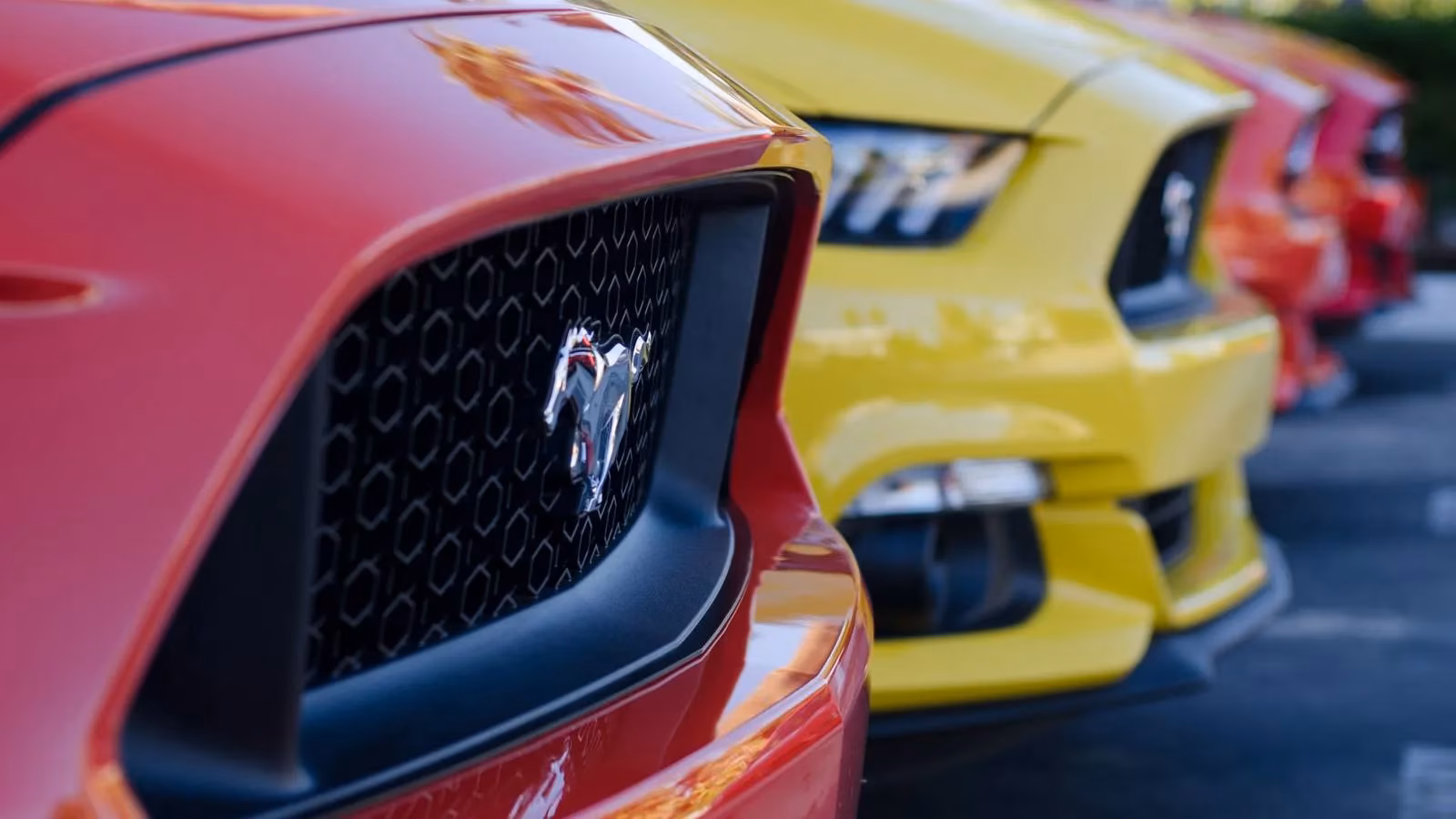 the-quiet-exit-of-the-v6-mustang-a-budget-icon-lost-in-plain-sight-image-0