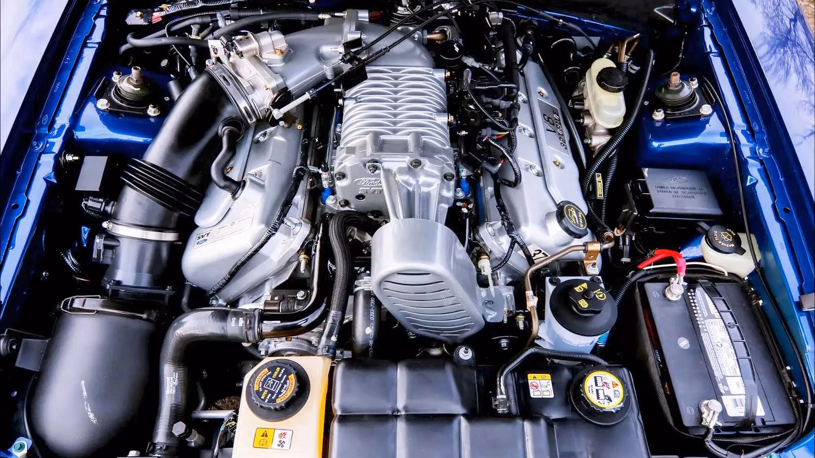 the-2003-04-ford-mustang-svt-cobra-terminator-is-the-analog-hero-collectors-are-finally-waking-up-to-image-2