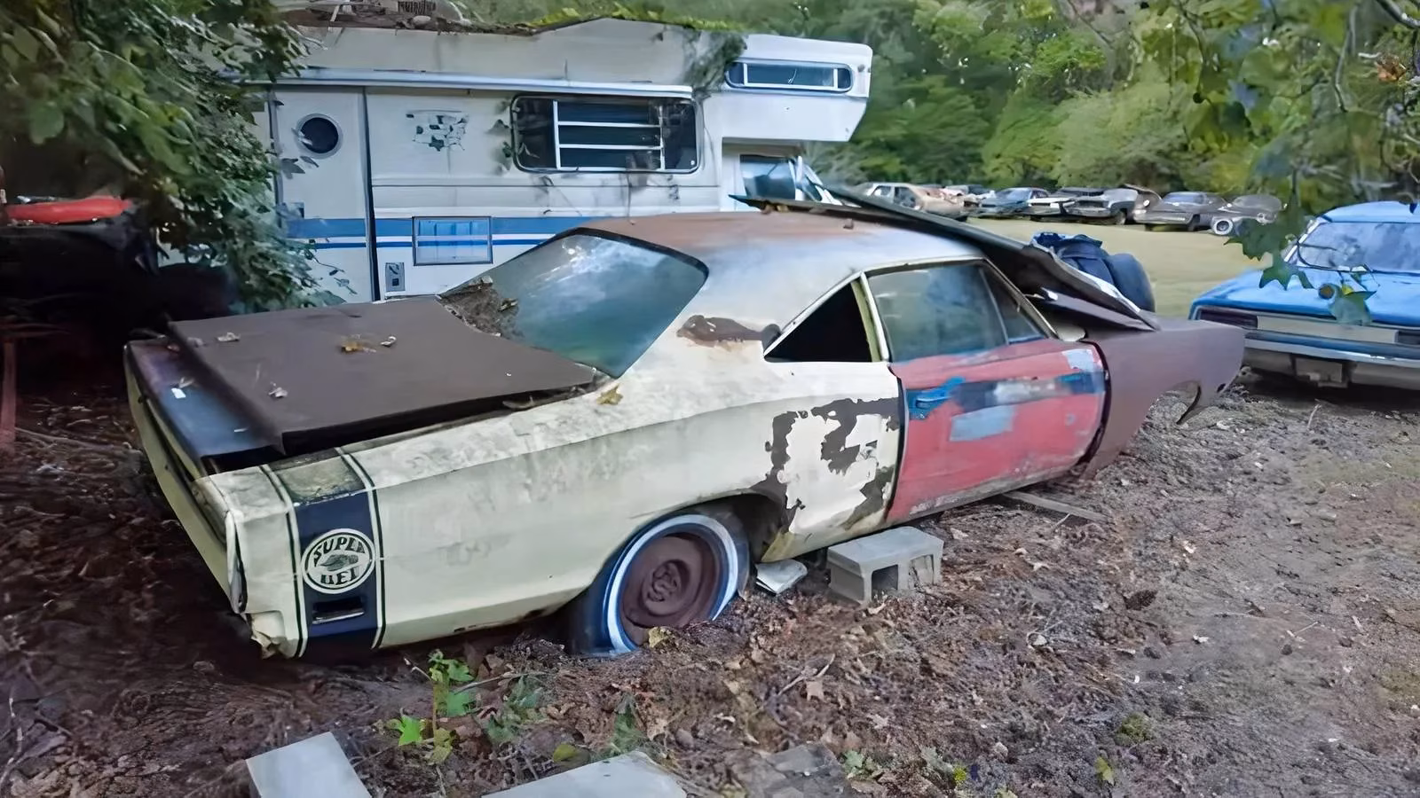 mopar-heaven-in-georgia-15-super-bees-30-road-runners-and-one-lucky-hoarder-image-0