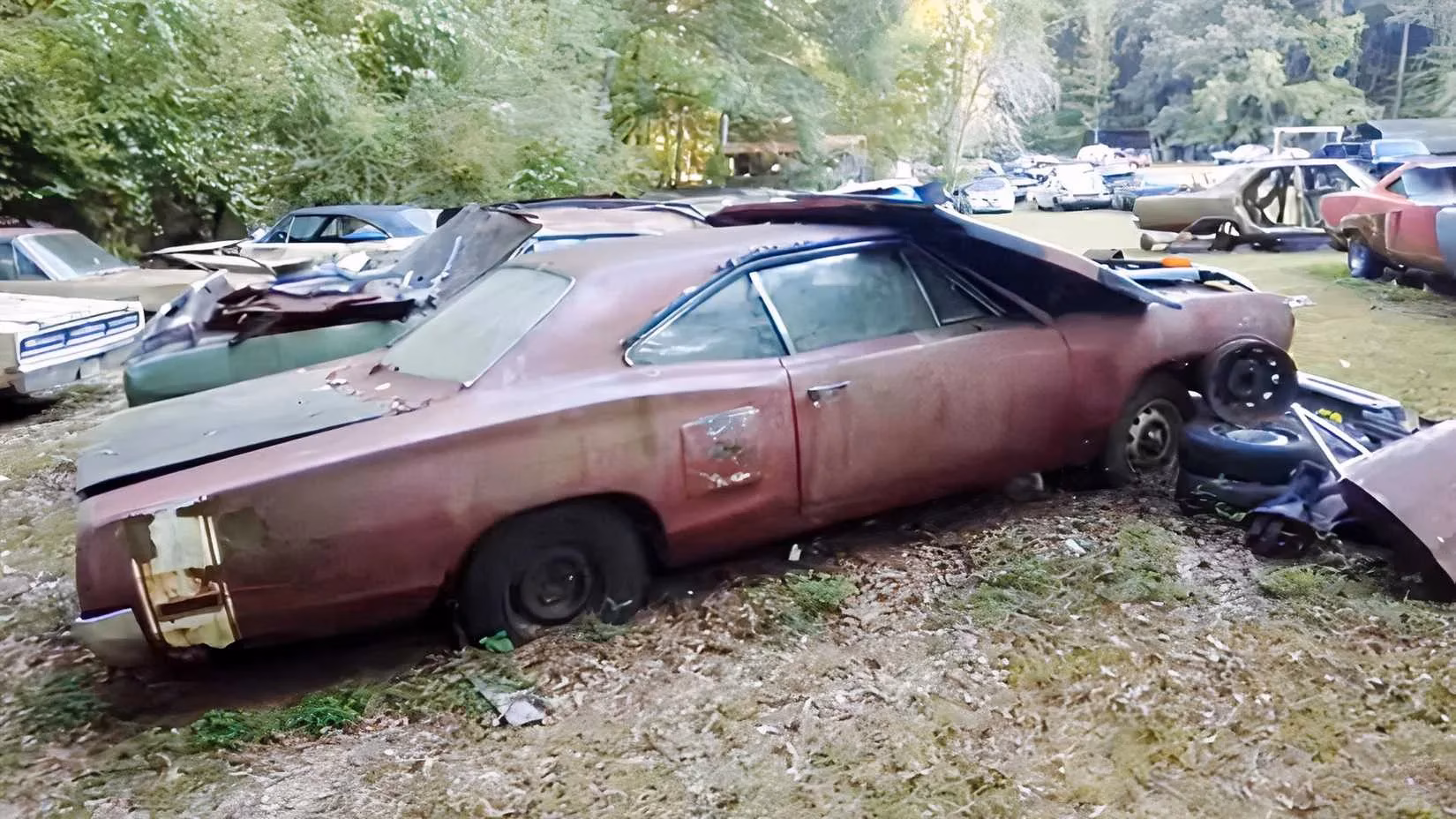 mopar-heaven-in-georgia-15-super-bees-30-road-runners-and-one-lucky-hoarder-image-1