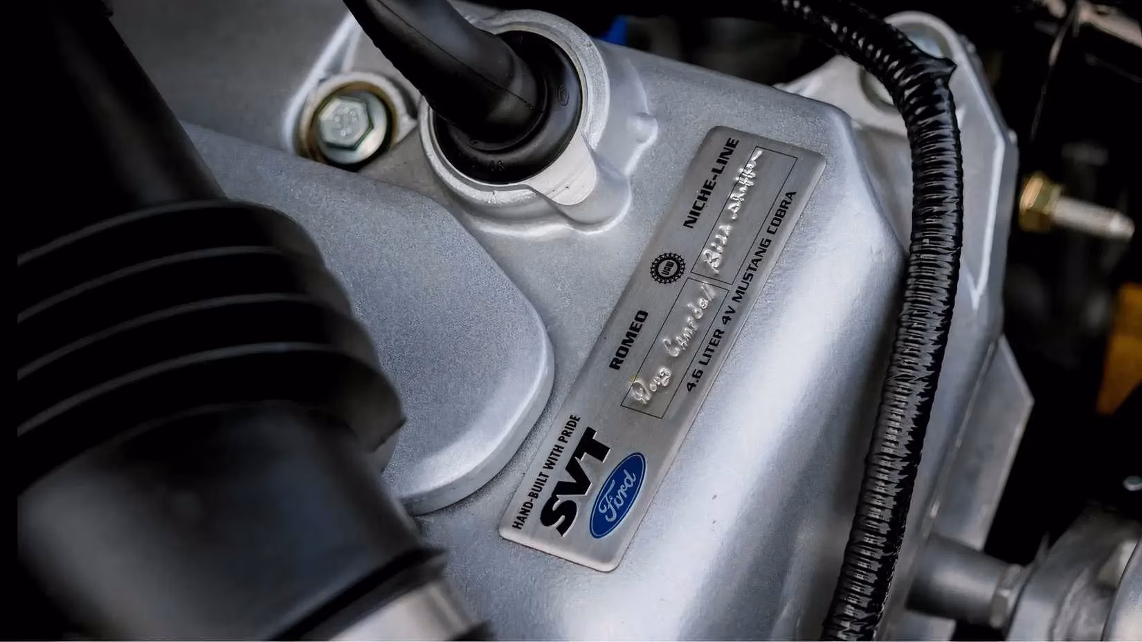 the-2003-04-ford-mustang-svt-cobra-terminator-is-the-analog-hero-collectors-are-finally-waking-up-to-image-7