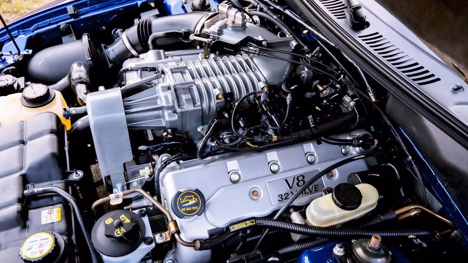 the-2003-04-ford-mustang-svt-cobra-terminator-is-the-analog-hero-collectors-are-finally-waking-up-to-image-0