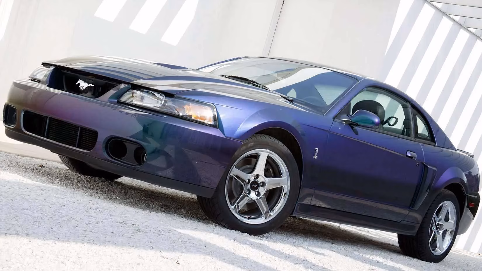 the-2003-04-ford-mustang-svt-cobra-terminator-is-the-analog-hero-collectors-are-finally-waking-up-to-image-6